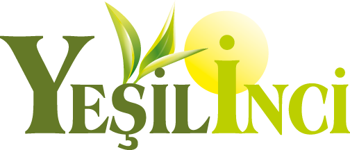 Yeşilinci